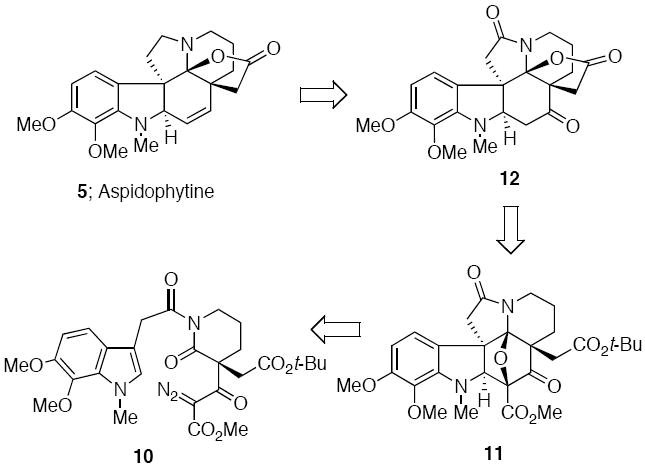 Scheme 2