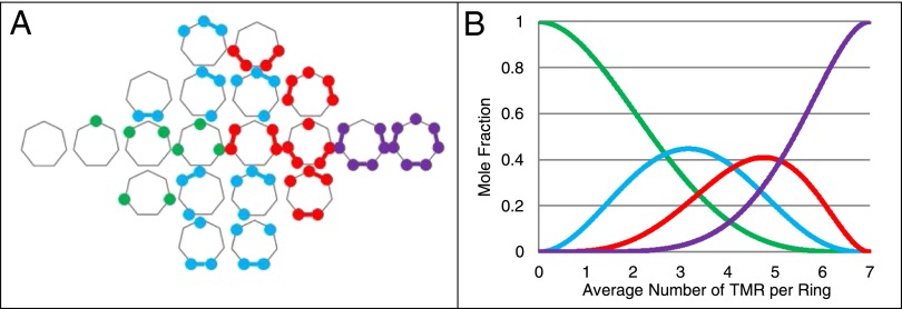 Fig. 10.