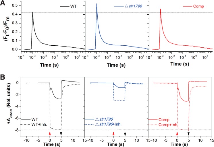 FIGURE 4.