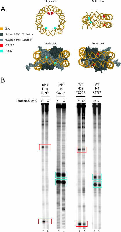 FIG. 4.