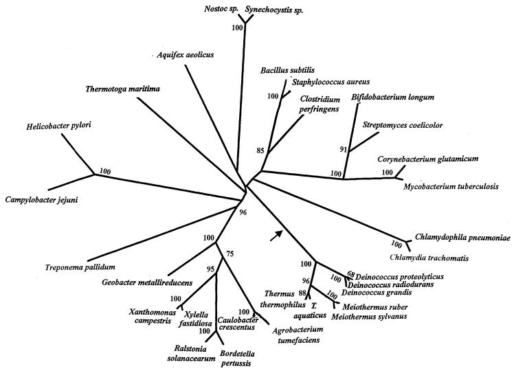 FIG. 2.