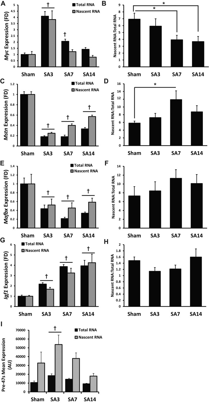 FIGURE 6: