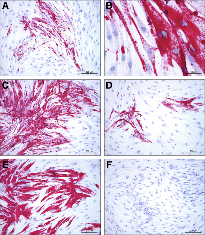 Figure 6