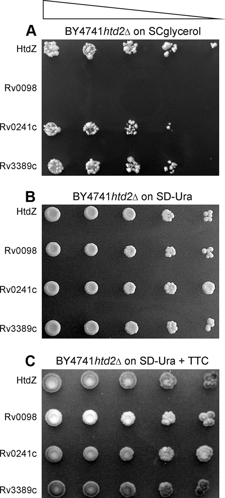 FIG. 2.