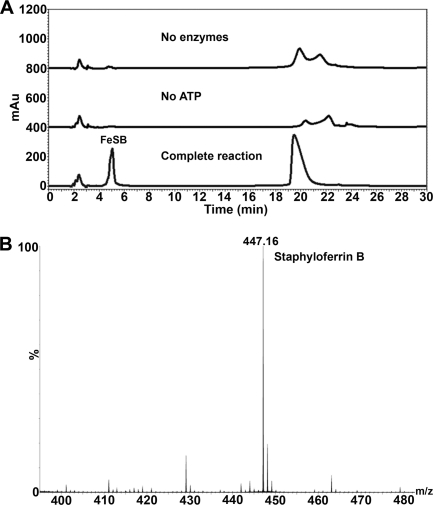 FIGURE 1.