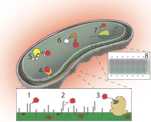 Figure 2.