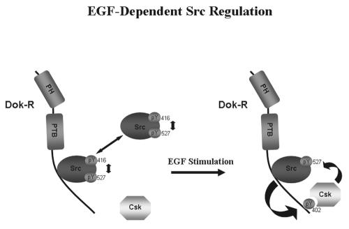 FIG. 10.