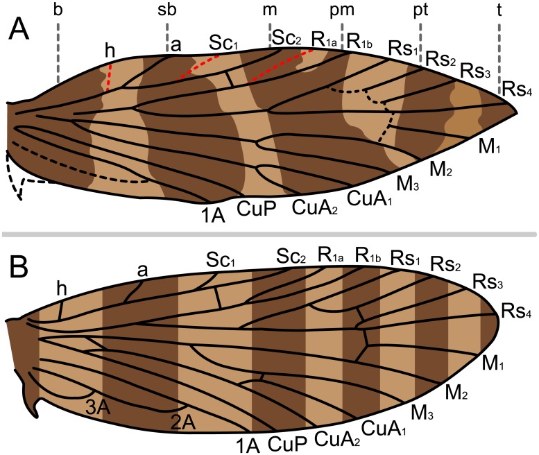 Fig 8