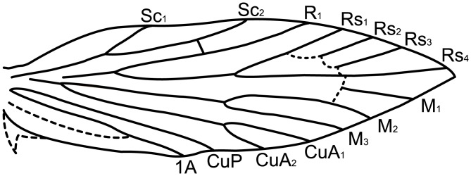 Fig 4