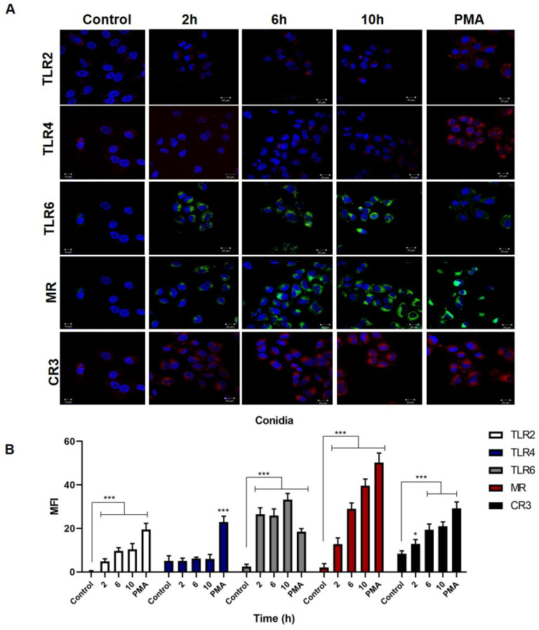 Figure 4