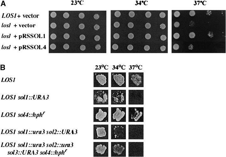 Figure 2.—