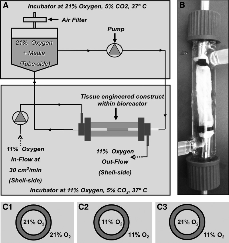 FIG. 1.