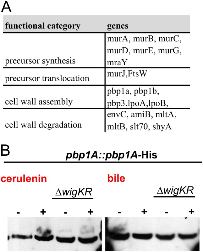 Fig. S5.