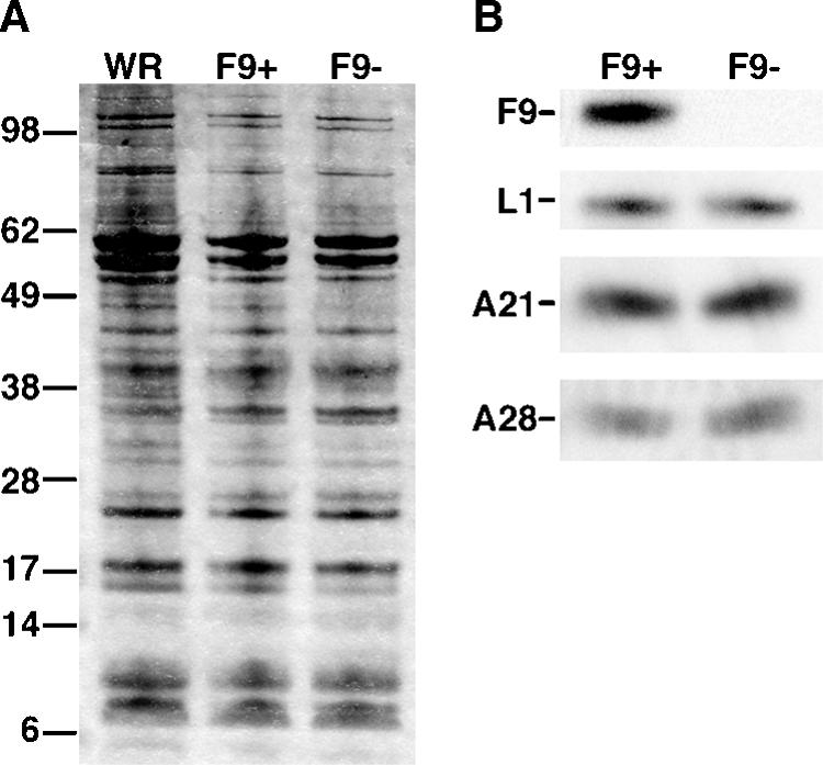 FIG. 7.