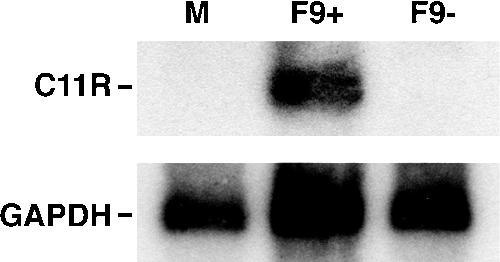 FIG. 8.