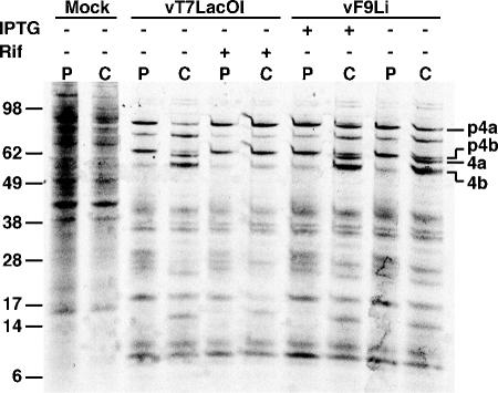 FIG. 5.