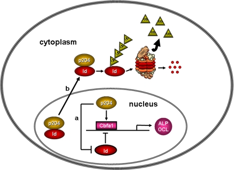 Figure 11.