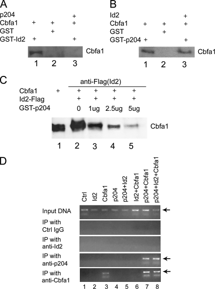 Figure 7.