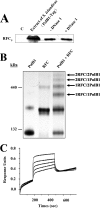 FIG 1