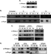 FIG 1