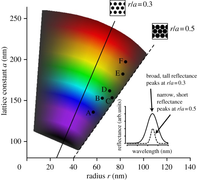 Figure 5.