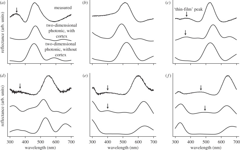 Figure 2.