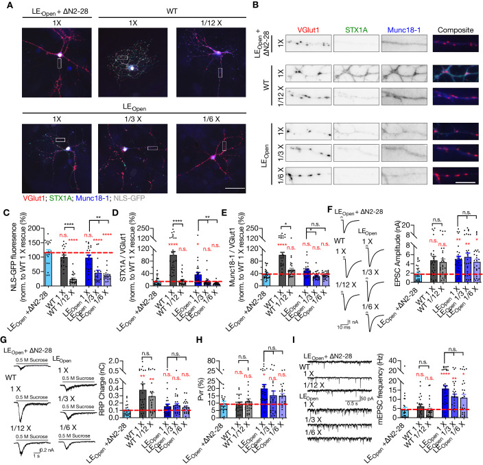 Figure 4—figure supplement 2.