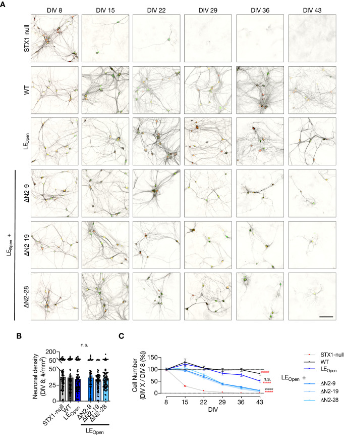 Figure 4—figure supplement 1.