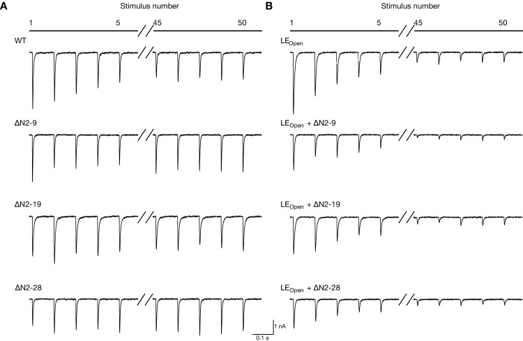 Figure 6—figure supplement 2.