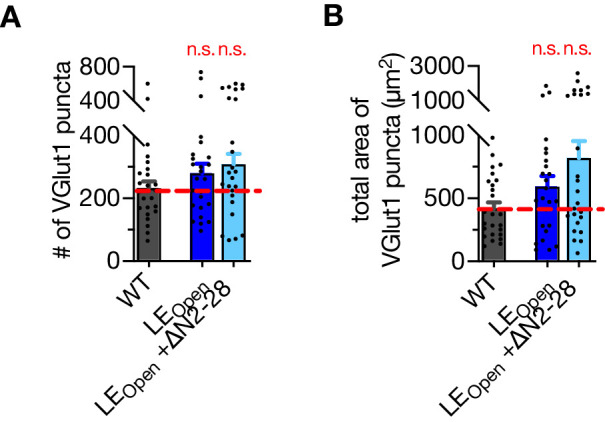 Figure 5—figure supplement 1.