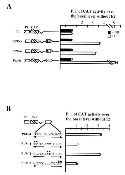 FIG. 5