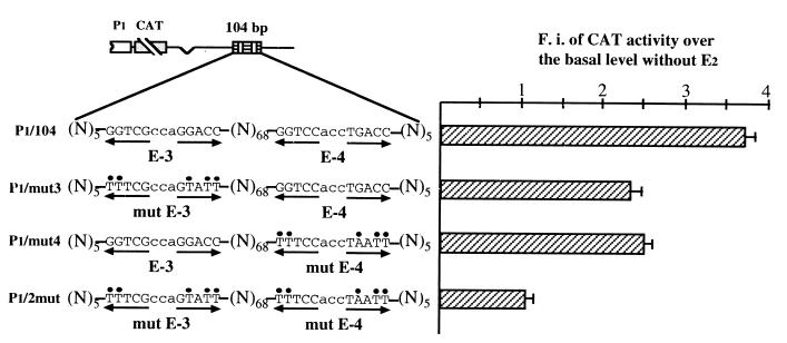 FIG. 6