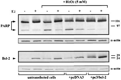 FIG. 9