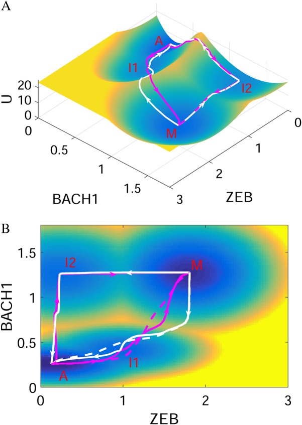 Fig. 2