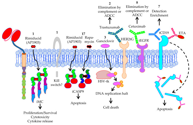 Figure 10