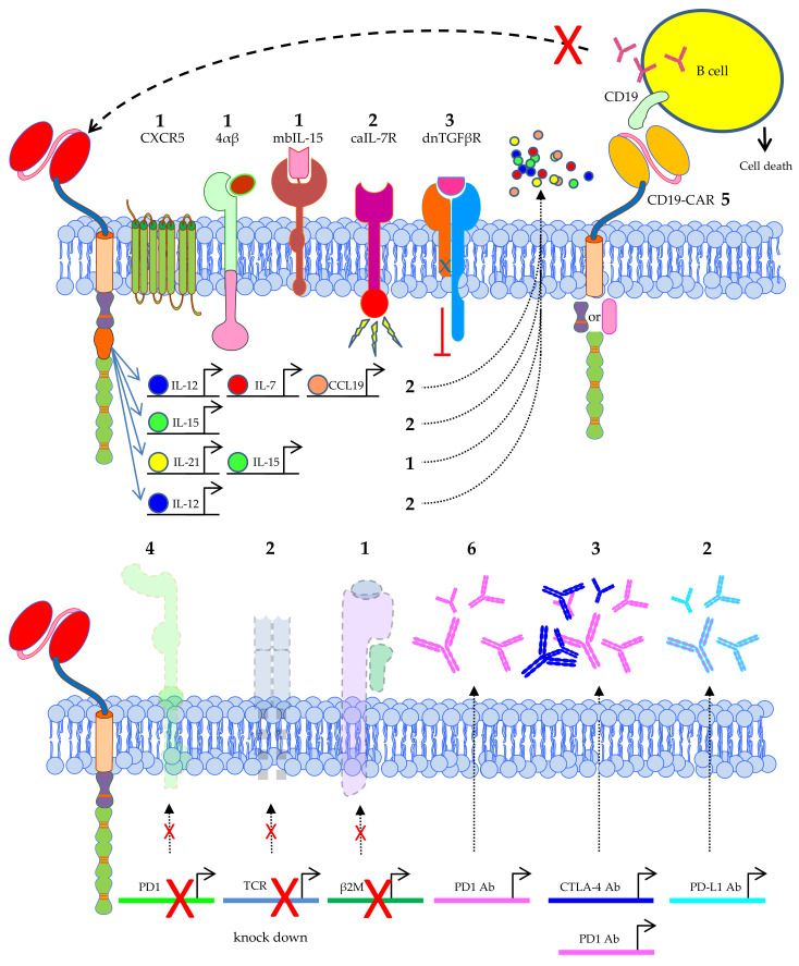 Figure 7