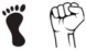 graphic file with name fnins-15-683784-i005.jpg