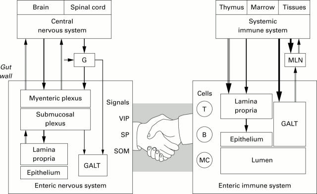 Figure 1  