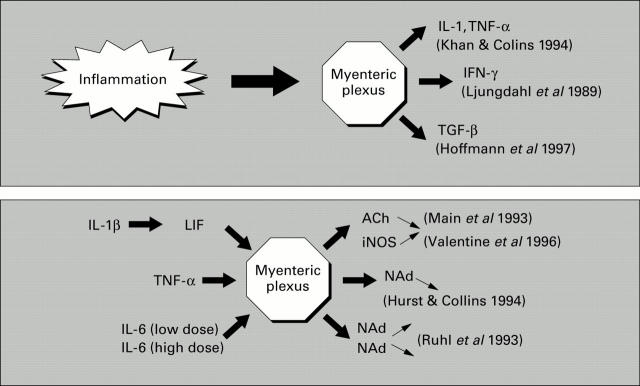 Figure 3  