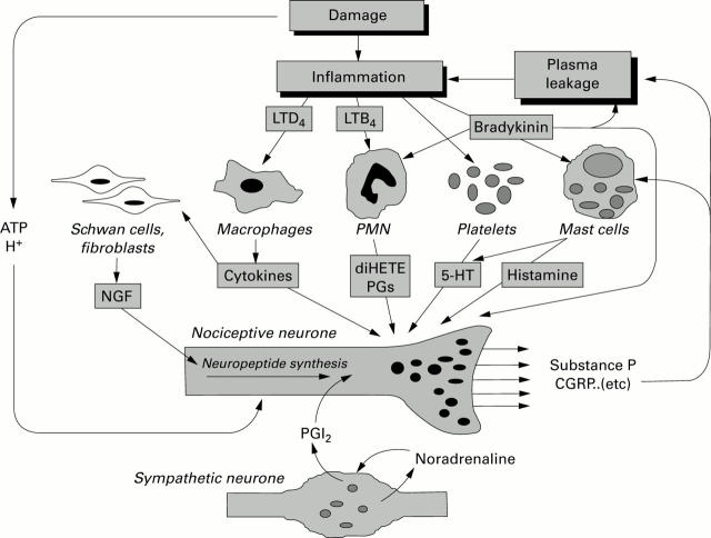 Figure 2  