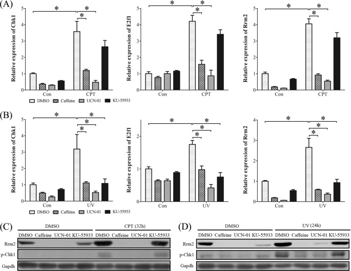 FIGURE 11.