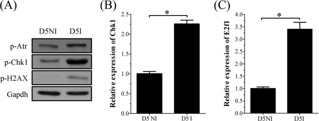 FIGURE 10.