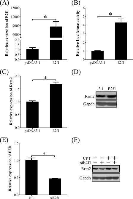 FIGURE 12.