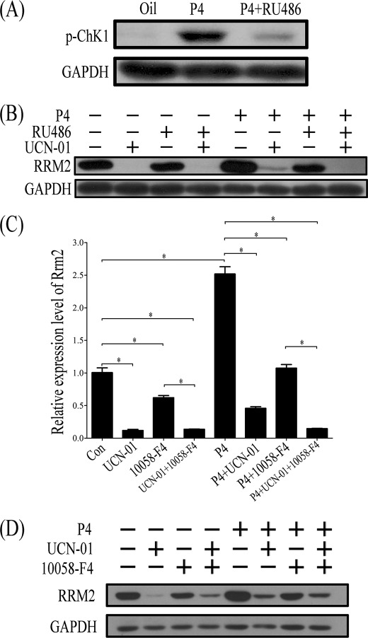 FIGURE 13.