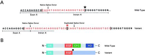 Figure  2