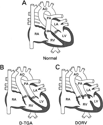 Figure  1