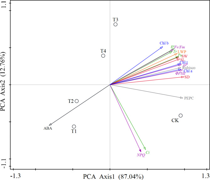 Fig. 9