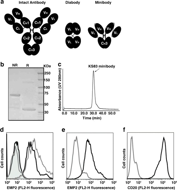 Fig. 2