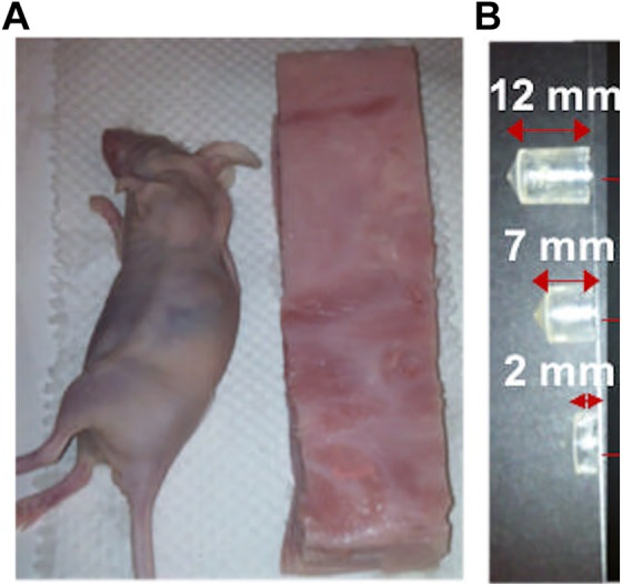 Figure 2.