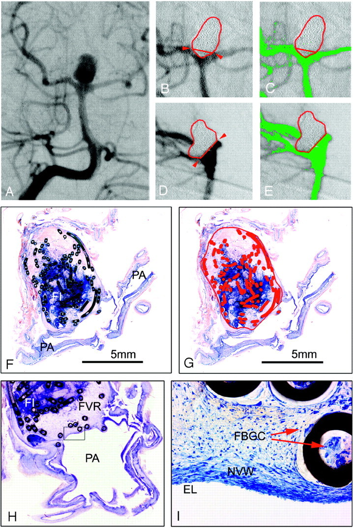 Fig 3.